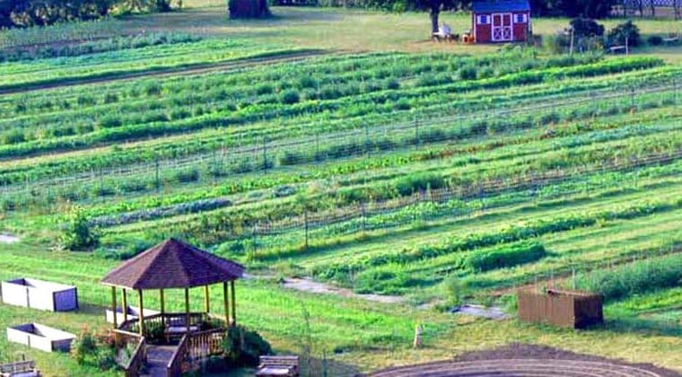 Homcoming Farm Homecoming Farm