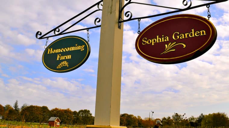 Homecoming Farm Header 2 Homecoming Farm