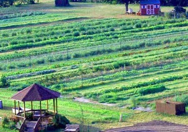 Homecoming Farm